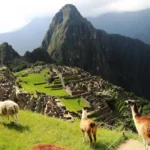 Paquete Cusco Patrimonio Histórico 5 Días: Machu Picchu y Tours