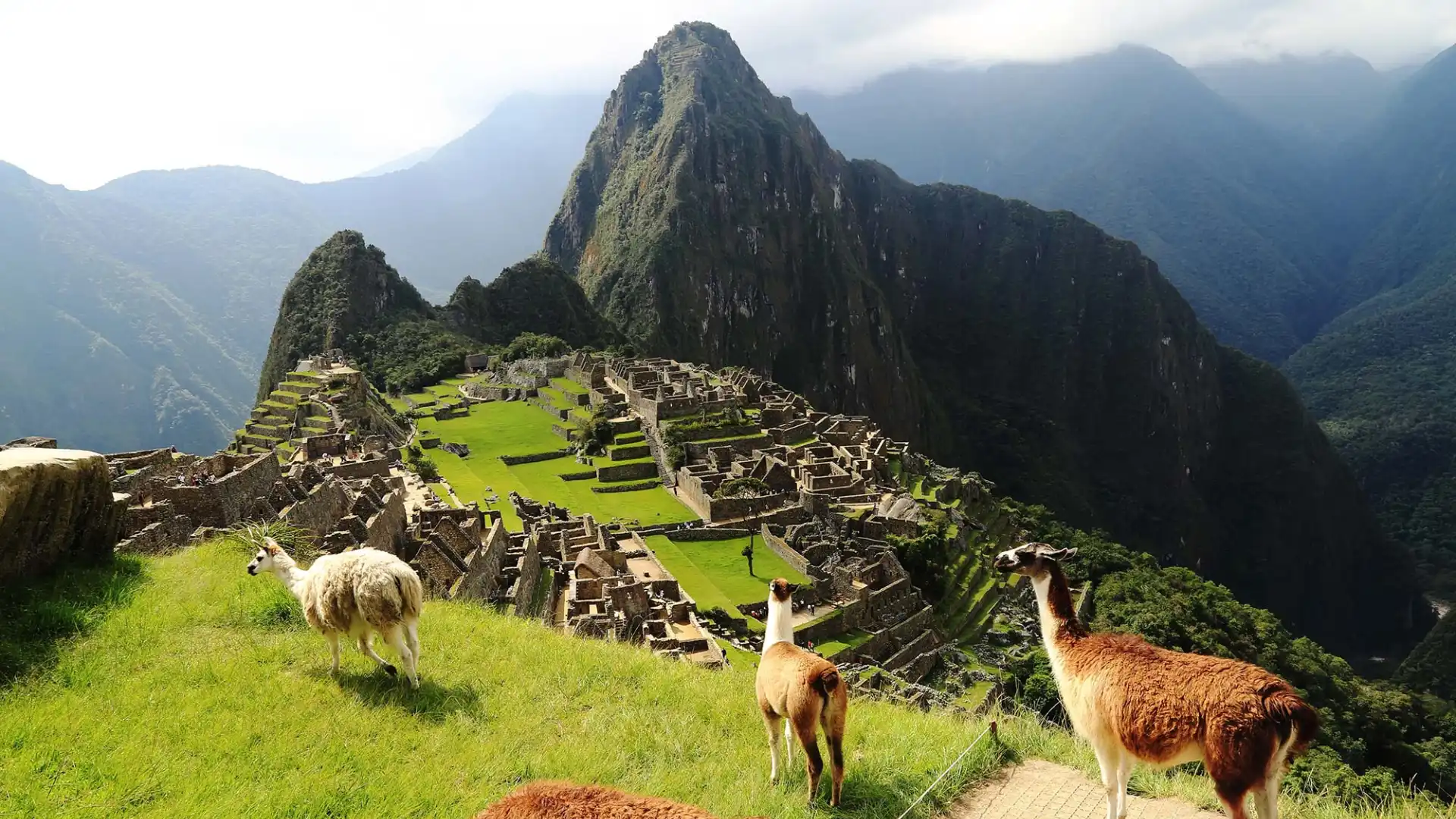 Paquete Cusco Patrimonio Histórico 5 Días: Machu Picchu y Tours