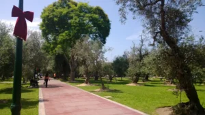 Galería del tour