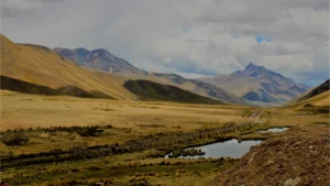 Galería del tour