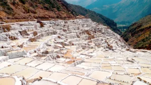 Galería del tour